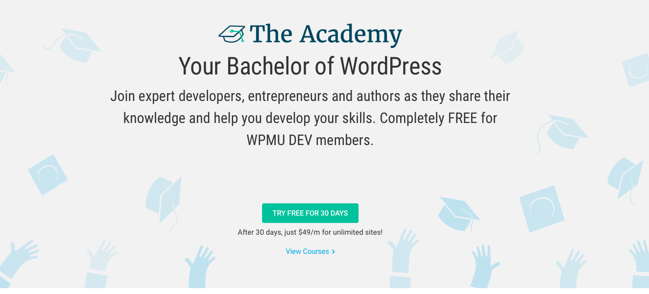 WP-academy Online kurzy zdarma