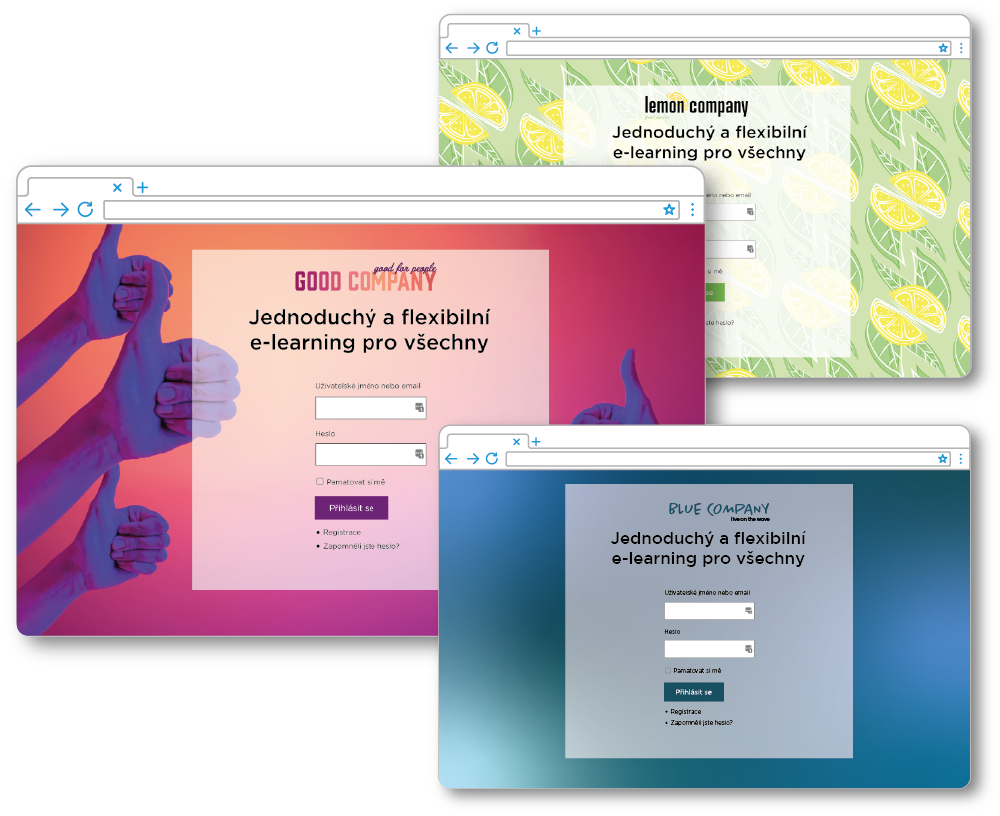 MenSeek E-learning E-learning - examples
